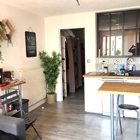 Abbaye Du Cap Tres Joli 2 Pieces Moderne Et Climatise Proche Port Cap D'agde Apartment *