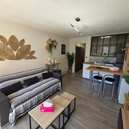 Abbaye Du Cap Tres Joli 2 Pieces Moderne Et Climatise Proche Port Cap D'agde Apartment